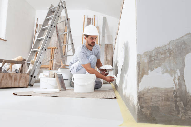 Best Dehumidification Services  in North Randall, OH