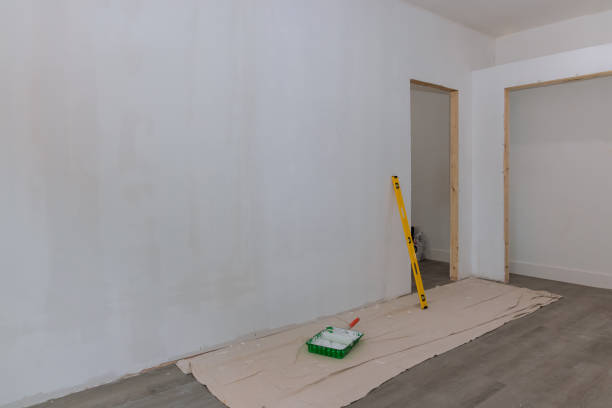 Best Mold Odor Removal Services  in North Randall, OH