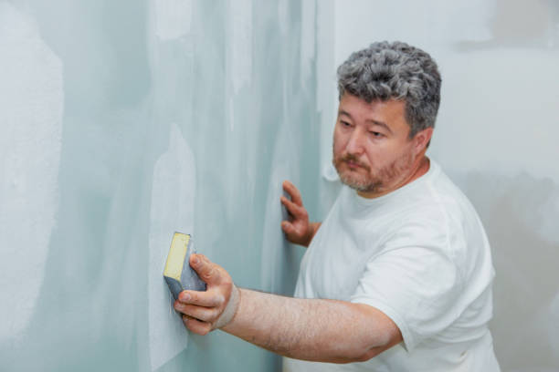 Best Mold Remediation for Rental Properties  in North Randall, OH